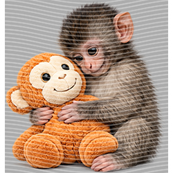 Animal Integration-DW 2391